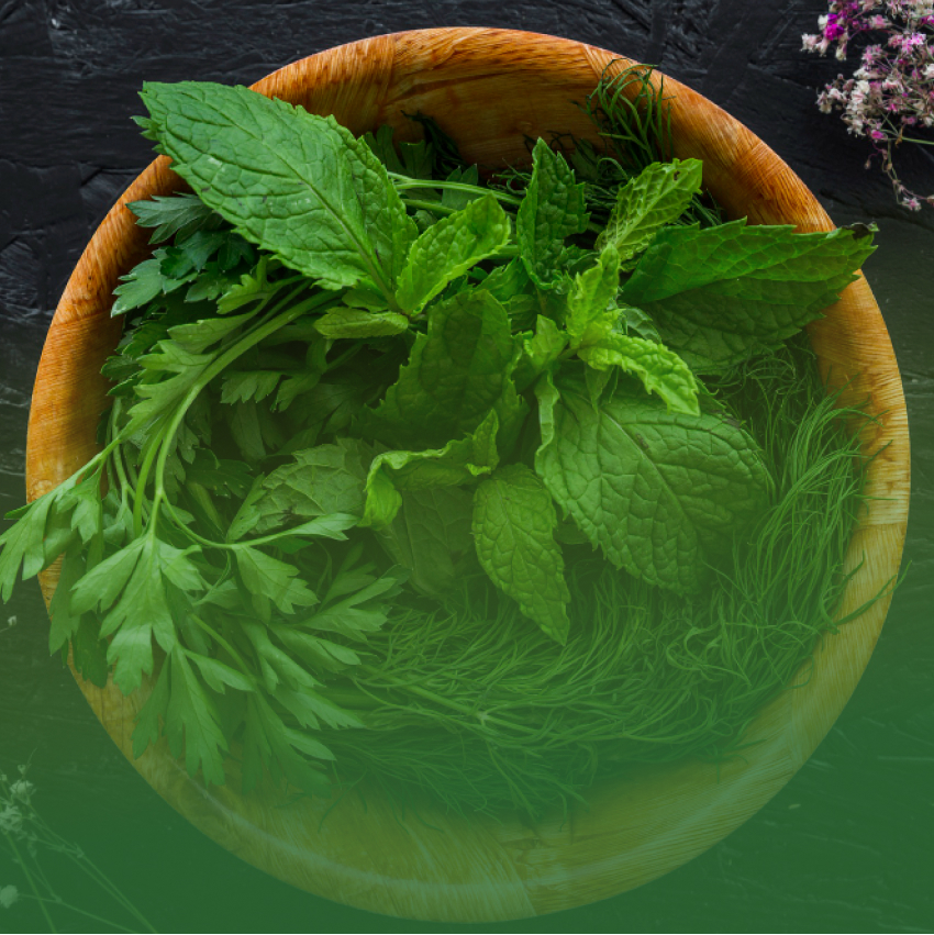 New Zealand Products