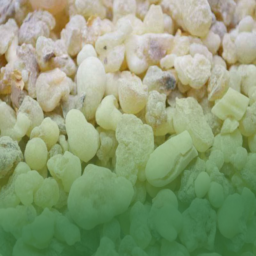 Omani Frankincense Products